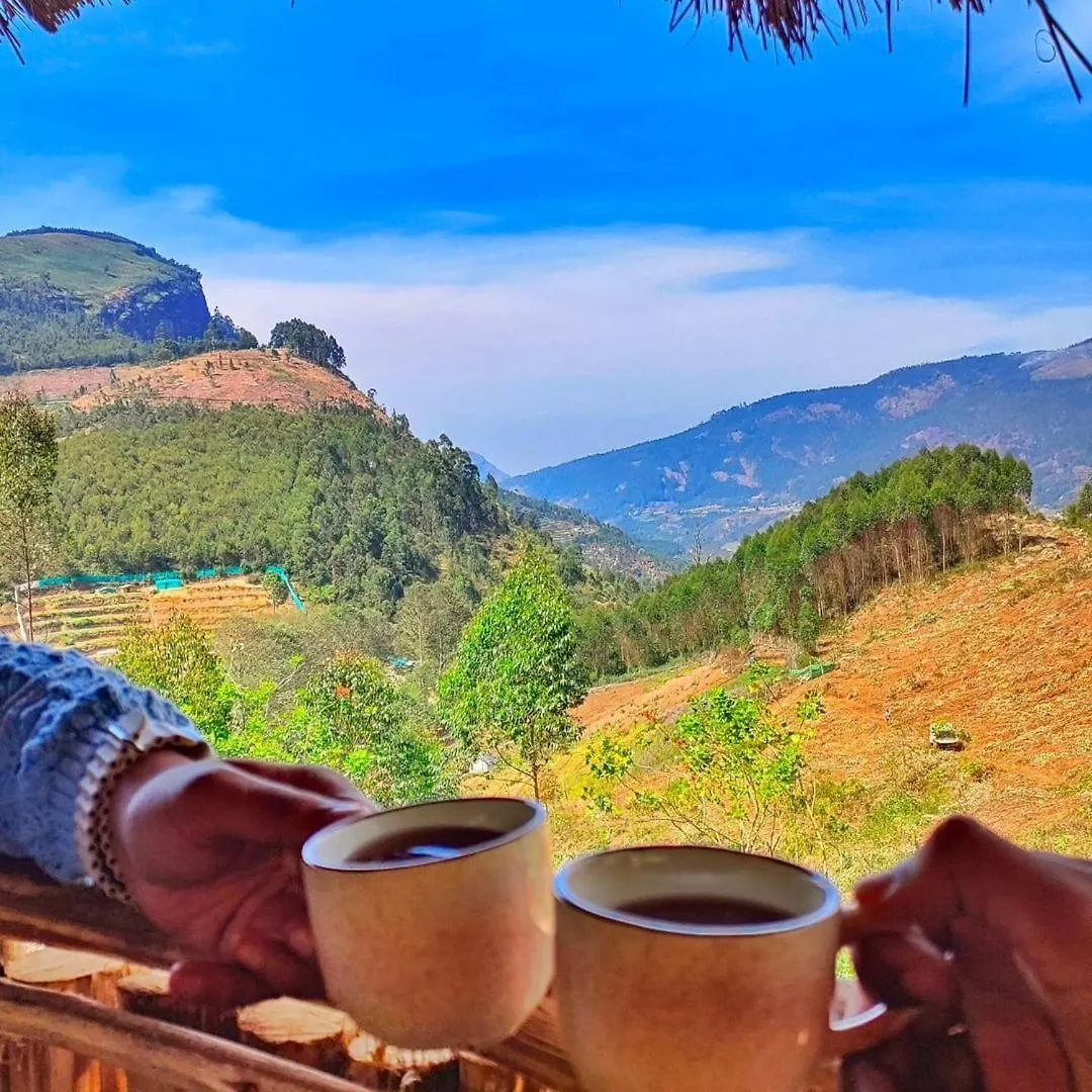Roamrustic Camp Vattavada Hotel Munnar