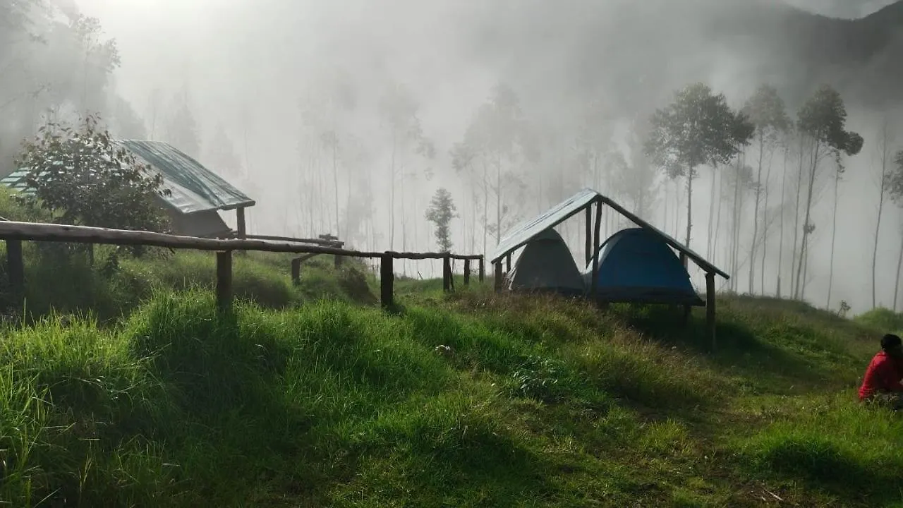 Roamrustic Camp Vattavada Hotel Munnar India