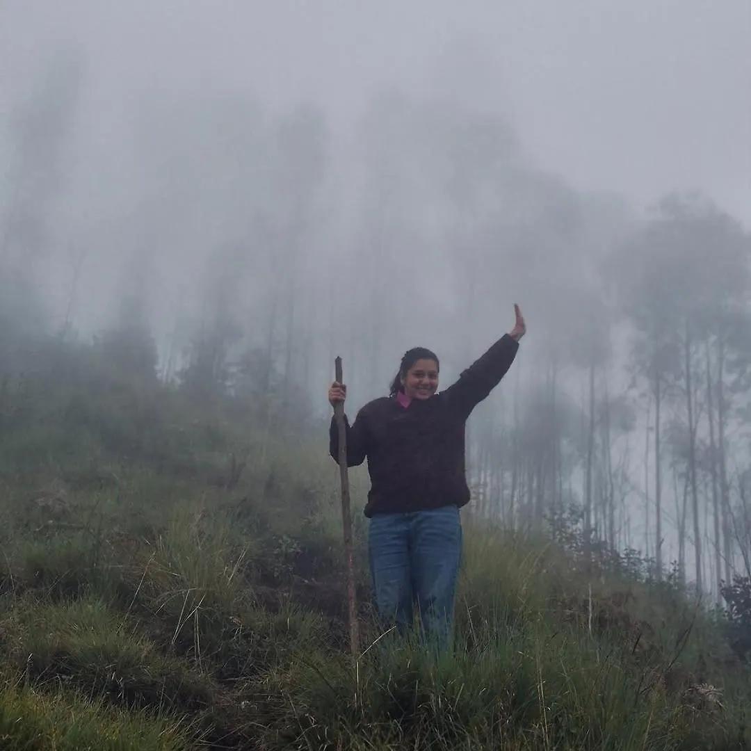 Roamrustic Camp Vattavada Hotel Munnar Campsite
