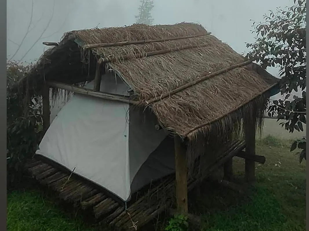 Campsite Roamrustic Camp Vattavada Hotel Munnar India