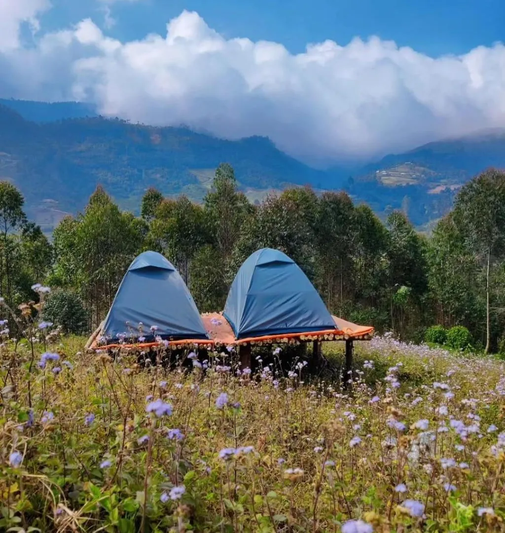 Roamrustic Camp Vattavada Hotel Munnar