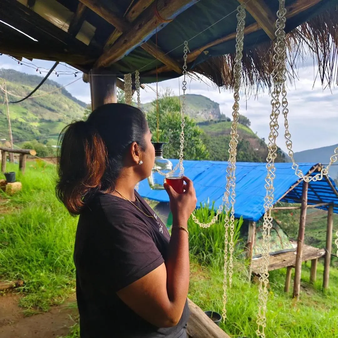 Campsite Roamrustic Camp Vattavada Hotel Munnar
