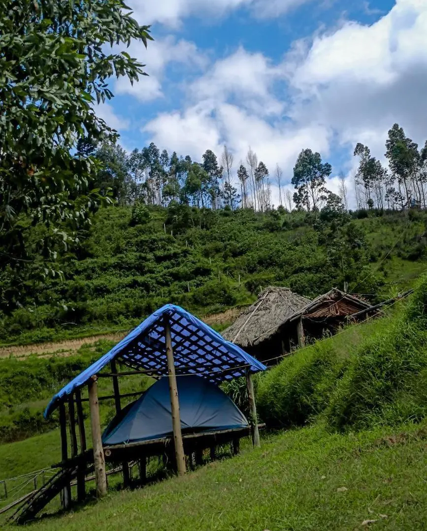 Campsite Roamrustic Camp Vattavada Hotel Munnar